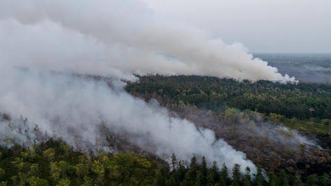 Kemenhub Izinkan 35 Pesawat Asing Bantu Atasi Karhutla di Kalimantan